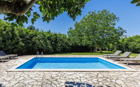 Elli: Blue, Swimming Pool, Resort, Shade, Outdoor Furniture, Garden, Eco Hotel, Landscaping, Backyard, Villa