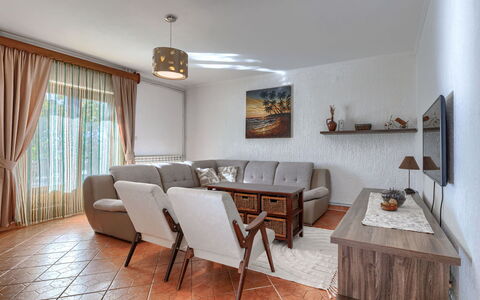 Elli: Interior Design, Wall, Flooring, Wood, Ceiling, Furniture, Floor, Room, Lighting, Apartment