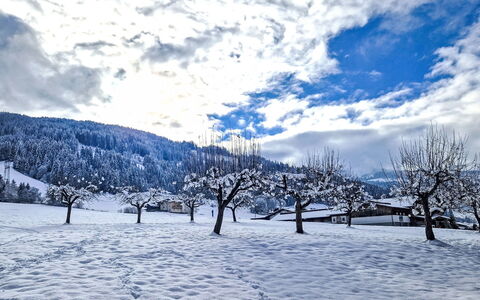 Weerberg 1: Snow, Blue, Winter, Branch, Landscape, Freezing, Slope, Geological Phenomenon, Twig, Hill Station