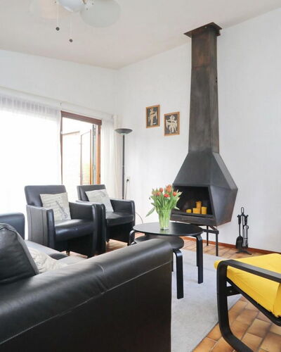 Hollandsche Tulp 300.6