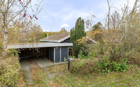 Mika - 300M from the Sea: Cottage, Backyard, Yard, Garden Buildings, Shed, Siding, Outdoor Furniture, Log Cabin, Outdoor Structure, Shack