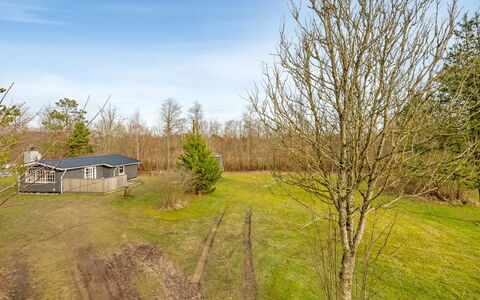 Leandra - 11Km from the Sea: Sky, Tree, Grass, Branch, Plain, Grassland, Land Lot, Rural Area, Twig, Cottage