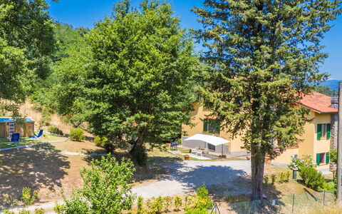 Giorgina: Tree, Hill Station, Mountain Range, Larch, Valley, Evergreen, Pine Family, Mountain Village