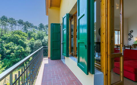 Giorgina: Paint, Wood Stain, Eco Hotel, Balcony, Home Door, Houseplant, Villa