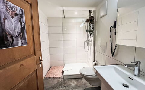 Klosters 50: Flooring, Floor, Plumbing Fixture, Wood, Interior Design, Bathroom, Room, Plumbing, Tap, Sink