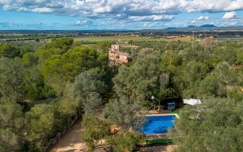 Sa Torreta: Tree, Nature, Natural Environment, Vegetation, Landscape, Rural Area, Estate, Plantation, Aerial Photography, Bird'S-Eye View