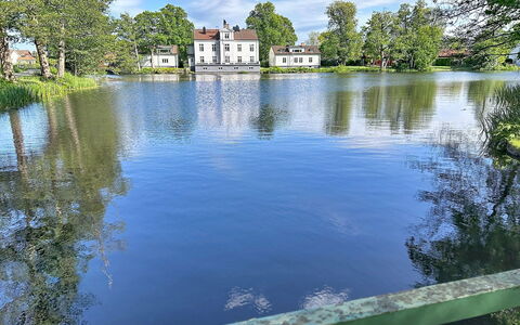 Orrefors: Water, Water Resources, Body Of Water, Tree, Nature, Waterway, Watercourse, Bank, Reflection, Channel