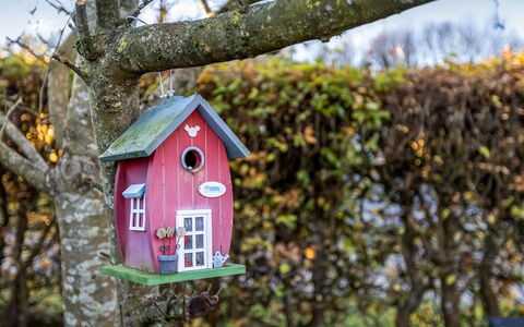 Pavo - 200M from the Sea: Cottage, Backyard, Yard, Garden Buildings, Shed, Siding, Outdoor Furniture, Log Cabin, Outdoor Structure, Shack