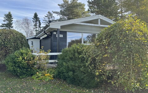 Felicia - from the Sea: Shrub, House, Home, Roof, Cottage, Siding, Garden, Yard, Garden Buildings, Shade