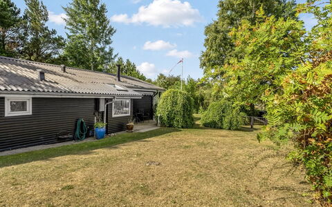 Felicia - from the Sea: House, Shrub, Residential Area, Home, Land Lot, Cottage, Lawn, Estate, Garden, Yard