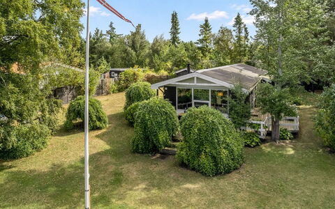 Felicia - from the Sea: Shrub, Garden, Lawn, Landscaping, Yard, Park, Garden Buildings, Backyard, Evergreen