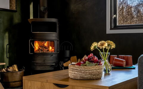 Dreng - from the Sea: Furniture, Kitchen Appliance, Hearth, Wood-Burning Stove, Heat, Home Appliance, Wood Stain, Living Room, Fireplace, Hardwood