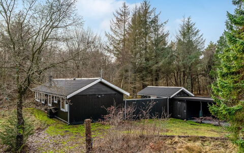 Dreng - from the Sea: Tree, Branch, Wood, House, Roof, Cottage, Home, Rural Area, Land Lot, Twig