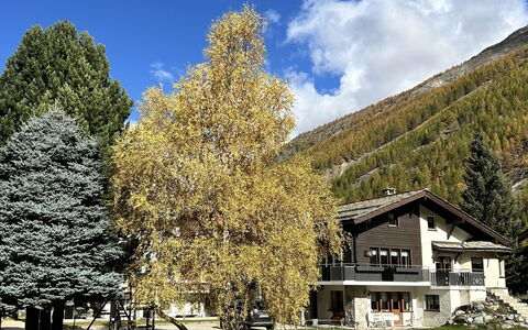Sunstar: Tree, Branch, House, Home, Cottage, Larch, Winter, Mountain Range, Slope, Village