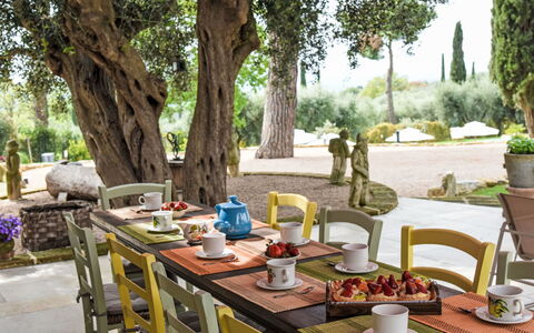Caduceo: Furniture, Table, Chair, Outdoor Furniture, Kitchen & Dining Room Table, Interior Design, Outdoor Table, Tableware, Restaurant, Dining Room