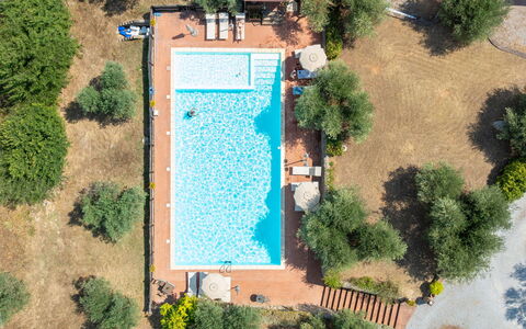 Campiglia Marittima 649: Swimming Pool, Resort, Thermae, Eco Hotel, Outdoor Furniture, Hacienda, Estate, Hotel, Villa, Resort Town