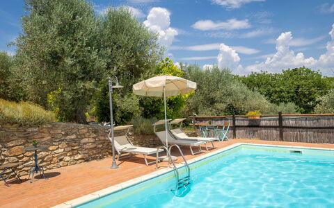 Campiglia Marittima 649: Swimming Pool, Outdoor Furniture, Resort, Chair, Eco Hotel, Flowerpot, Shade, Houseplant, Sunlounger, Villa