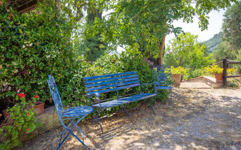Campiglia Marittima 649: Blue, Outdoor Bench, Furniture, Outdoor Furniture, Bench, Garden, Groundcover, Shade, Park