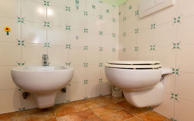Accommodation:&nbsp;Iris 649.4