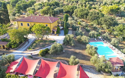 Accommodation:&nbsp;Viola 649.1