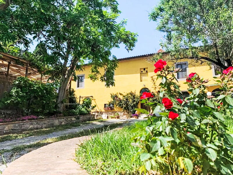 Campiglia Marittima 649