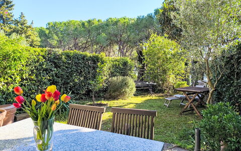 Steffi'S House: Leaf, Shrub, Garden, Furniture, Outdoor Furniture, Shade, Spring, Backyard, Landscaping, Lawn