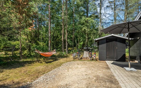 Lökea - from the Sea: Tree, Bicycle, Cottage, Garden Buildings, Woodland, Shade, Bicycle Wheel, Garden