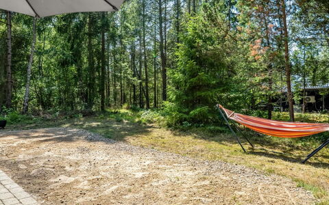 Lökea - from the Sea: Tree, Woodland, Forest, Grove, Trunk, Shade, Sunlight, Garden, Trail, Soil