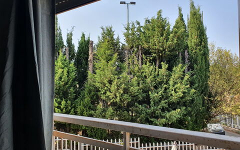 Happy House: Shade, Balcony, Evergreen, Pine Family, Larch