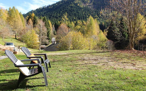 Chalet Genzianella: Landscape, Forest, Outdoor Furniture, Larch, Garden, Valley, Landscaping, Lawn