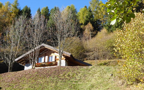 Chalet Genzianella: Grass, Tree, Wood, House, Roof, Cottage, Architecture, Rural Area, Shrub, Home