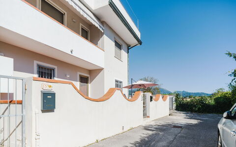 Sunflower 2: Landscape, Bird'S-Eye View, Aerial Photography, Coast, Bay, Tropics, Resort Town