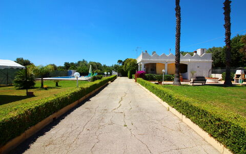 Villa Floridia: Shade, Hacienda, Landscaping, Garden, Lawn, Estate, Hedge, Villa, Driveway