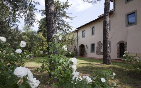 Relais de Ricci: Shrub, Estate, Garden, Hacienda, Driveway, Landscaping, Yard, Courtyard, Walkway, Backyard