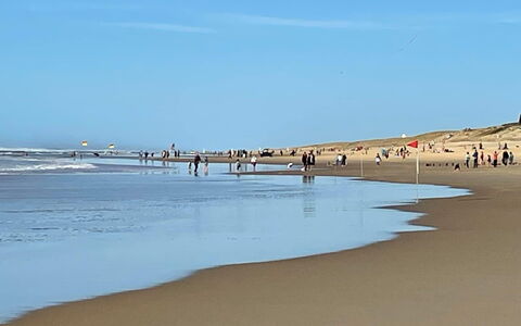 Chasseur: Beach, Body Of Water, Natural Environment, Coast, Shore, Sea, Horizon, Sand, Coastal And Oceanic Landforms