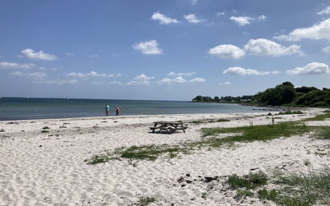 Rikulf - 150M from the Sea: Natural Environment, Beach, Coast, Coastal And Oceanic Landforms, Shore, Summer, Sea, Sand, Ocean, Wind Wave