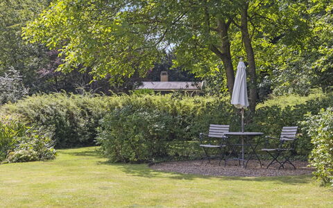 Franke - 1.2Km from the Sea: Tree, Green, Leaf, Nature, Branch, Vegetation, Shrub, Garden, Landscape