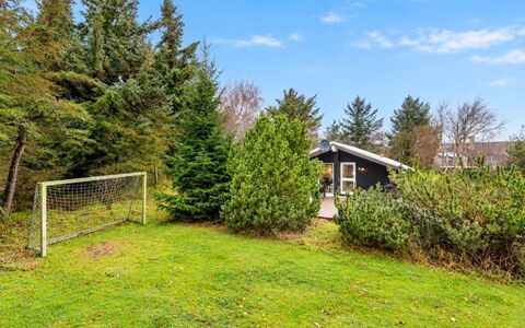 Veera - from the Sea: Shrub, Garden, Cottage, Lawn, Yard, Landscaping, Garden Buildings, Larch, Backyard