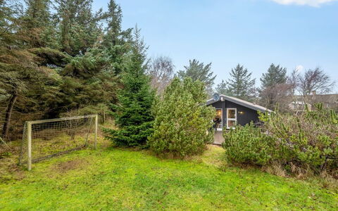 Veera - from the Sea: Shrub, Cottage, Rural Area, Garden, Garden Buildings, Lawn, Yard, Landscaping, Larch