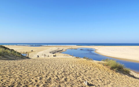 Villa Dune: Natural Environment, Beach, Sand, Coast, Horizon, Shore, Coastal And Oceanic Landforms, Ecoregion, Sea