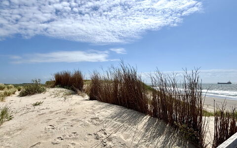 Beach House Bruinisse: Natural Environment, Horizon, Ecoregion, Sand, Beach, Coast, Coastal And Oceanic Landforms, Shore, Sea, Ocean