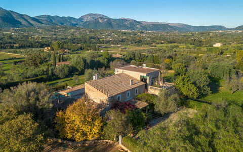 Son Estaras Ii: Shrub, Landscape, Land Lot, Home, Rural Area, Farmhouse, Estate, Cottage, Village, Plantation