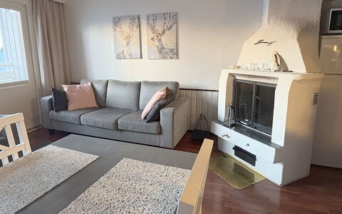 Lumikeidas: Furniture, Flooring, Floor, Interior Design, Wood, Couch, Room, Living Room, Textile, Lighting