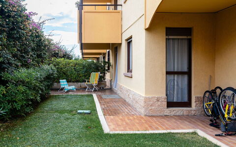 Dream House: Lawn, Garden, Yard, Shade, Landscaping, Backyard, Walkway, Courtyard, Driveway, Hacienda