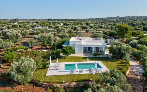 Lacorte di Ninetta: Landscape, Land Lot, Estate, Landscaping, Plantation, Villa