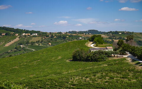 Villa Zena: Green, Agriculture, Field, Plantation, Rural Area, Plain, Grassland, Landscape, Land Lot
