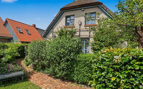 Reetgedecktes Ferienhaus Seelchen: Green, Wall, Shrub, House, Residential Area, Garden, Home, Hedge, Groundcover