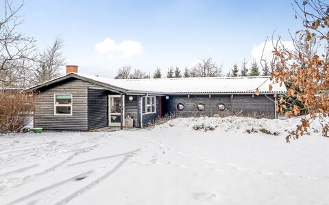 Antti - from the Sea: Snow, Winter, Building, Branch, Wood, House, Home, Roof, Cottage, Architecture