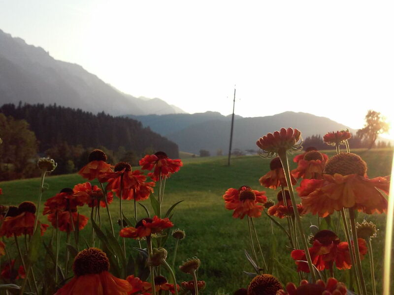 Gsenger in Abtenau