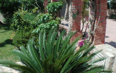 Les Cases D'alcanar Marjal 52